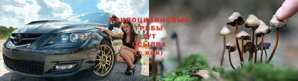 кристаллы Вяземский