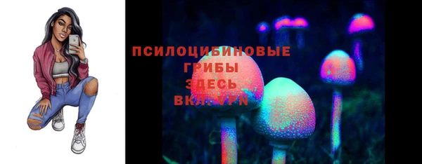 молекула духа Володарск